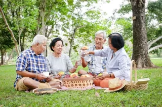 Elderly having picnic in the park
